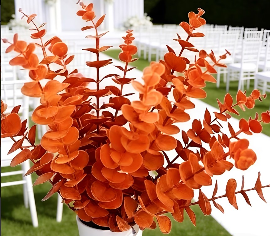 F8A - Orange Eucalyptus