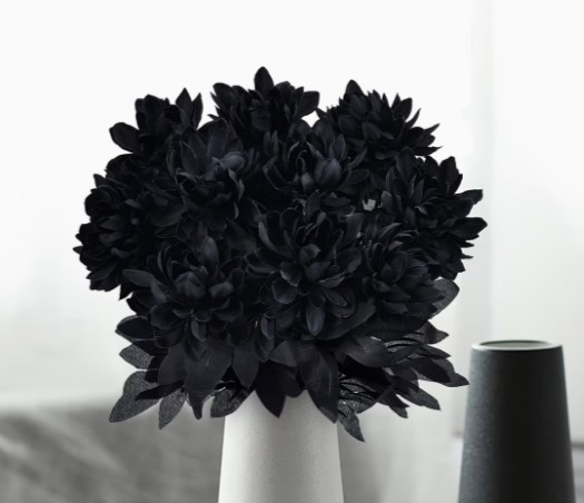 F9A - Black Dahlias