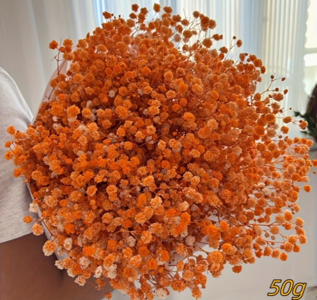 F8B - Orange Baby's Breath