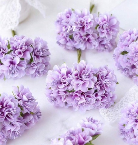 F3B - Purple Carnations