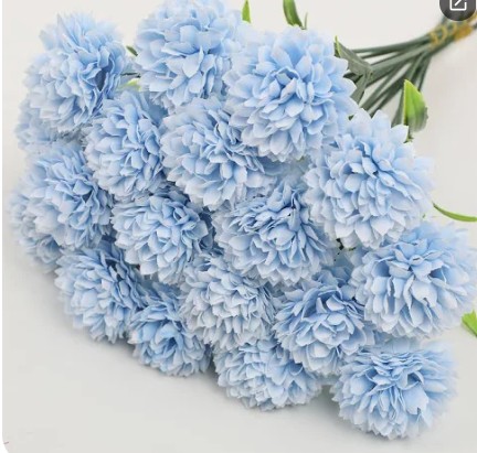 FS3 - Blue Hydrangeas