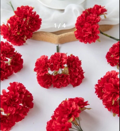 F5C - Red Carnations