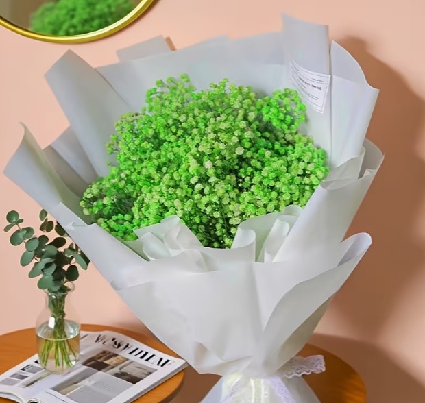 F4A - Green Baby's Breath