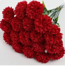 FX3 - Red Hydrangeas