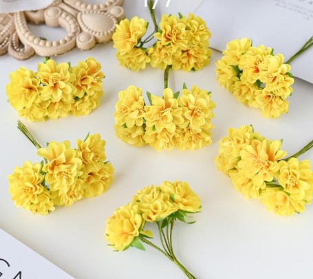 F7B - Yellow Carnation