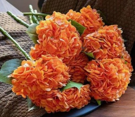 FU2 - Orange Hydrangeas