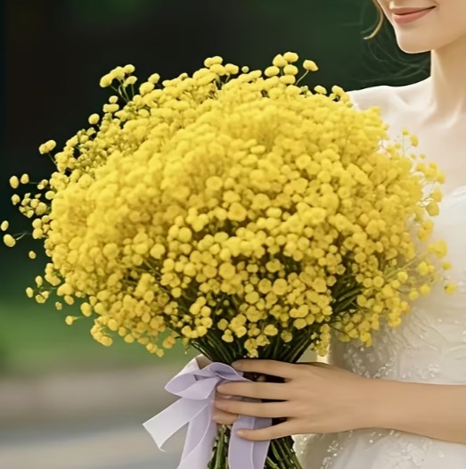 F7C - Yellow Baby's Breath