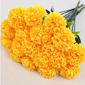 FR3 - Yellow Hydrangeas