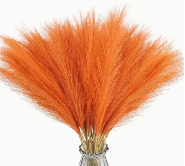 F8C - Orange Reed